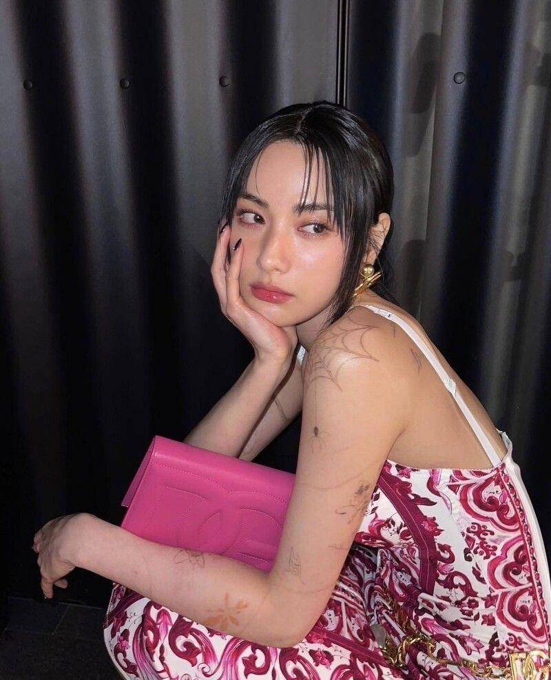 Nana林珍娜收藏的精品包很有看头　DG Logo爱到包色、戒指包不易撞款 时尚穿搭 图4张