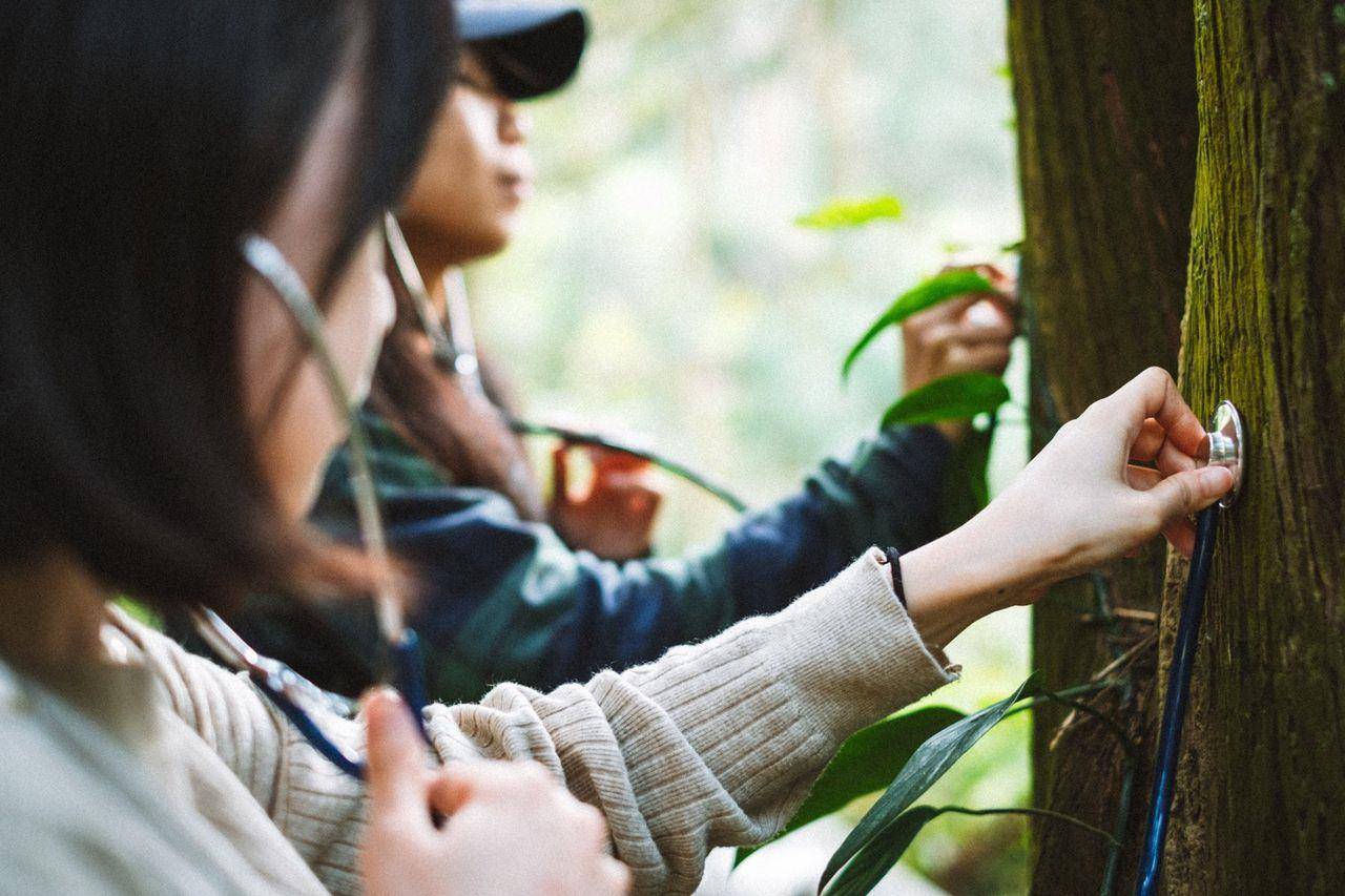 薰衣草森林获德国莱因TÜV碳中和认证　期成为绿色旅游标竿 奢侈品牌 图1张