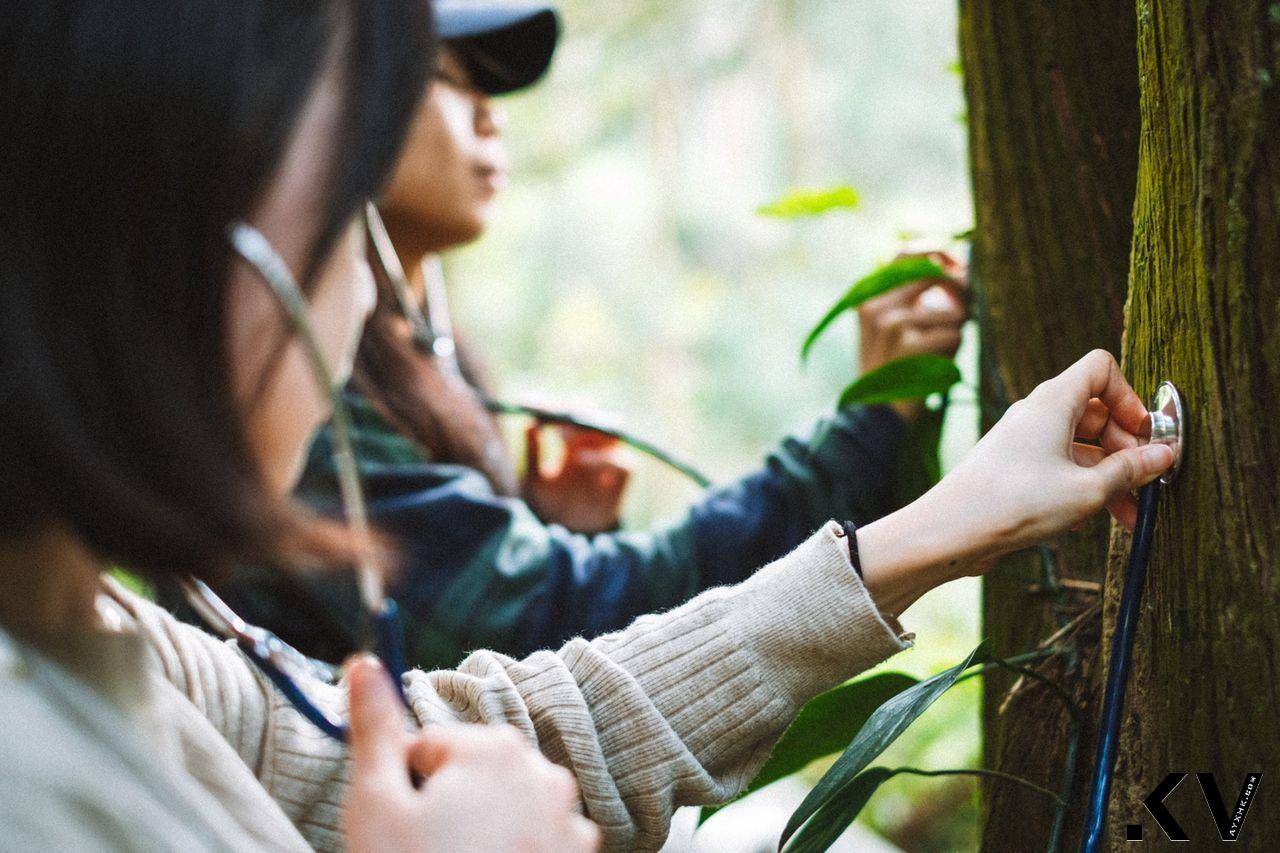 薰衣草森林获德国莱因TÜV碳中和认证　期成为绿色旅游标竿 奢侈品牌 图1张