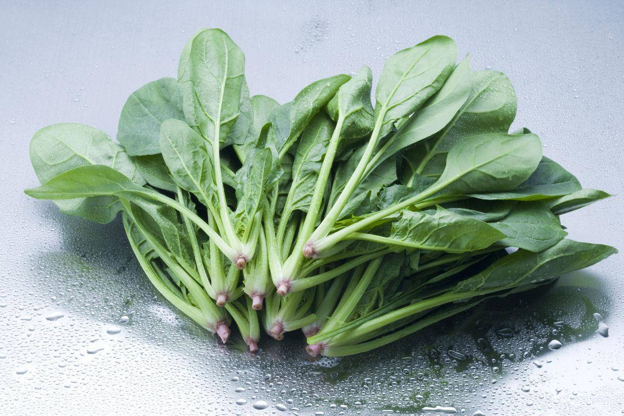 让头发疯长的5种食物：胡萝卜能抑制出油、彩椒能减少断发 最新资讯 图1张
