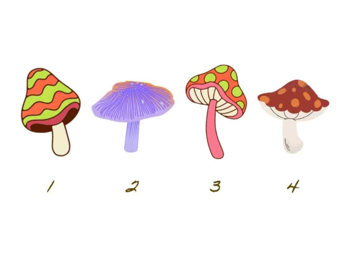 近期的你适合谈恋爱吗？选到这朵菇身边有人在暗恋你 最新资讯 图1张