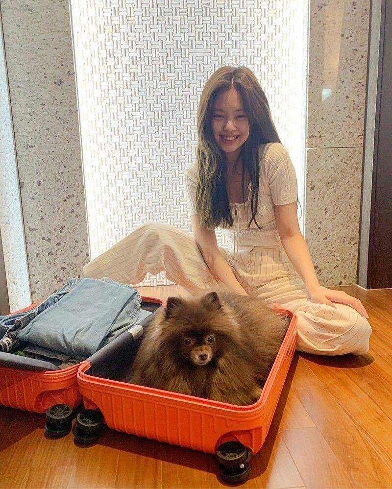 9个精品质感行李箱！BLACKPINK爱用RIMOWA、FPM订制款内行才知 时尚穿搭 图2张