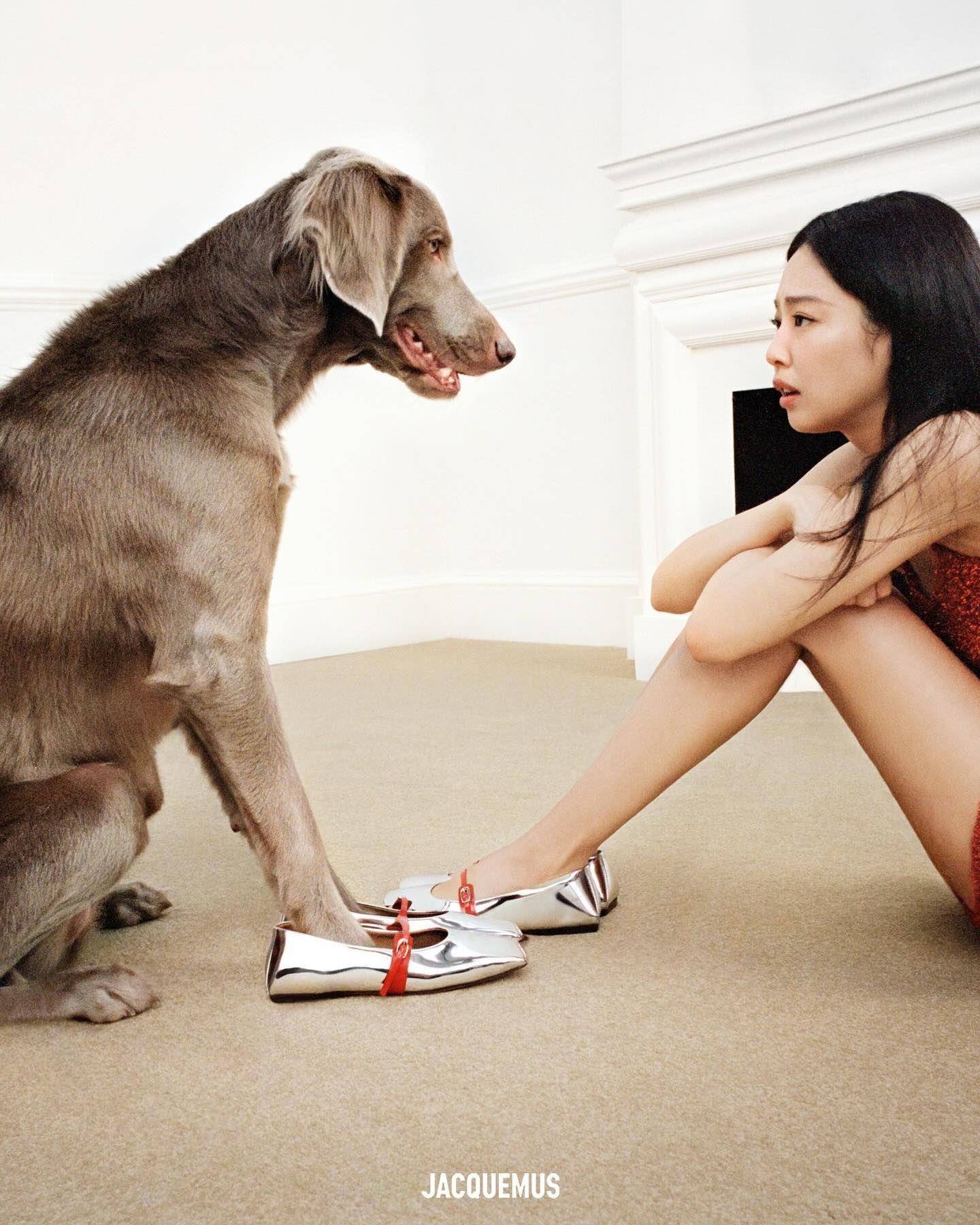 Jennie纤腰被偷亲粉丝竟大呼可爱！　狗儿帮吹发的圣诞照Q爆 时尚穿搭 图1张