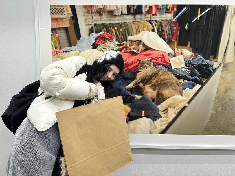 韩韶禧私服爱穿的小众品牌　复古针织衣抢到断货、OPEN YY高颜值超火红 最新资讯 图9张