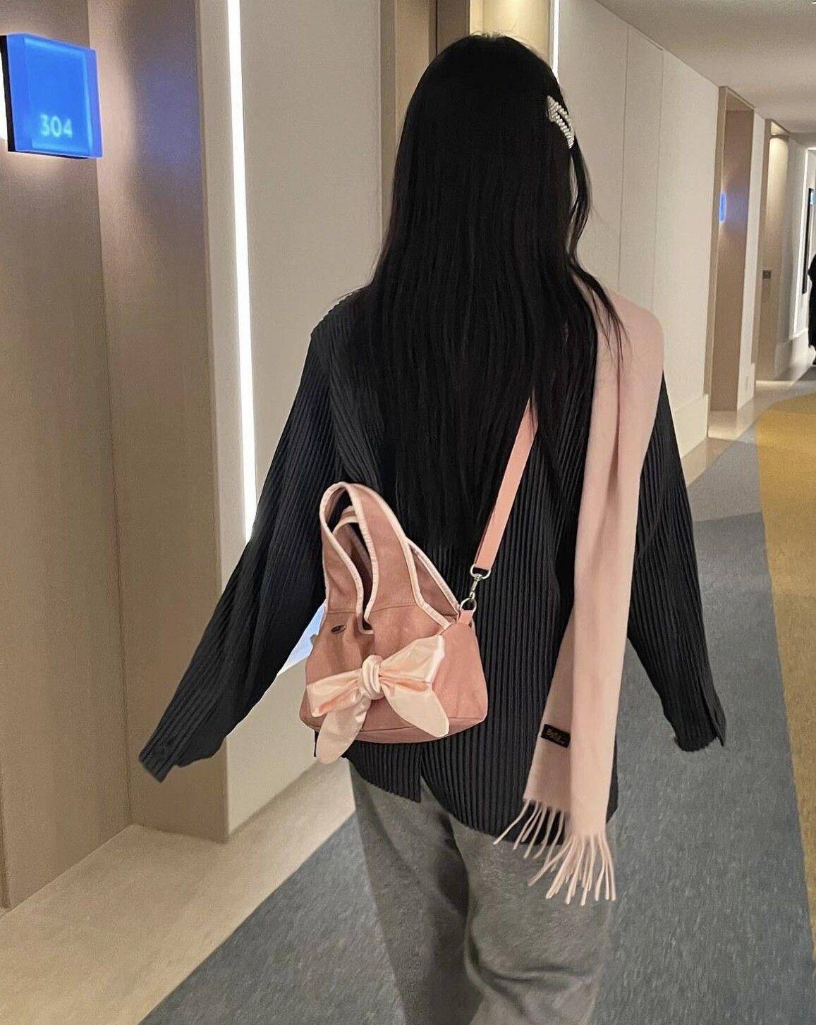 热门“蝴蝶结包包”6款推荐！允贞爱用容量超大、Jennie带货抢翻天 最新资讯 图5张