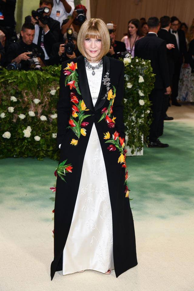 Met Gala／安娜温图竟没穿小香！女儿凤凰镂空礼服展现颓丧美 名人名流 图1张