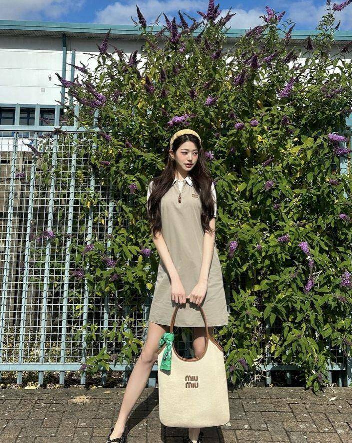 包开箱／人间洋娃娃张员瑛甜晒Miu Miu新帆布包！皮革标志、大容量超烧 名人名流 图5张