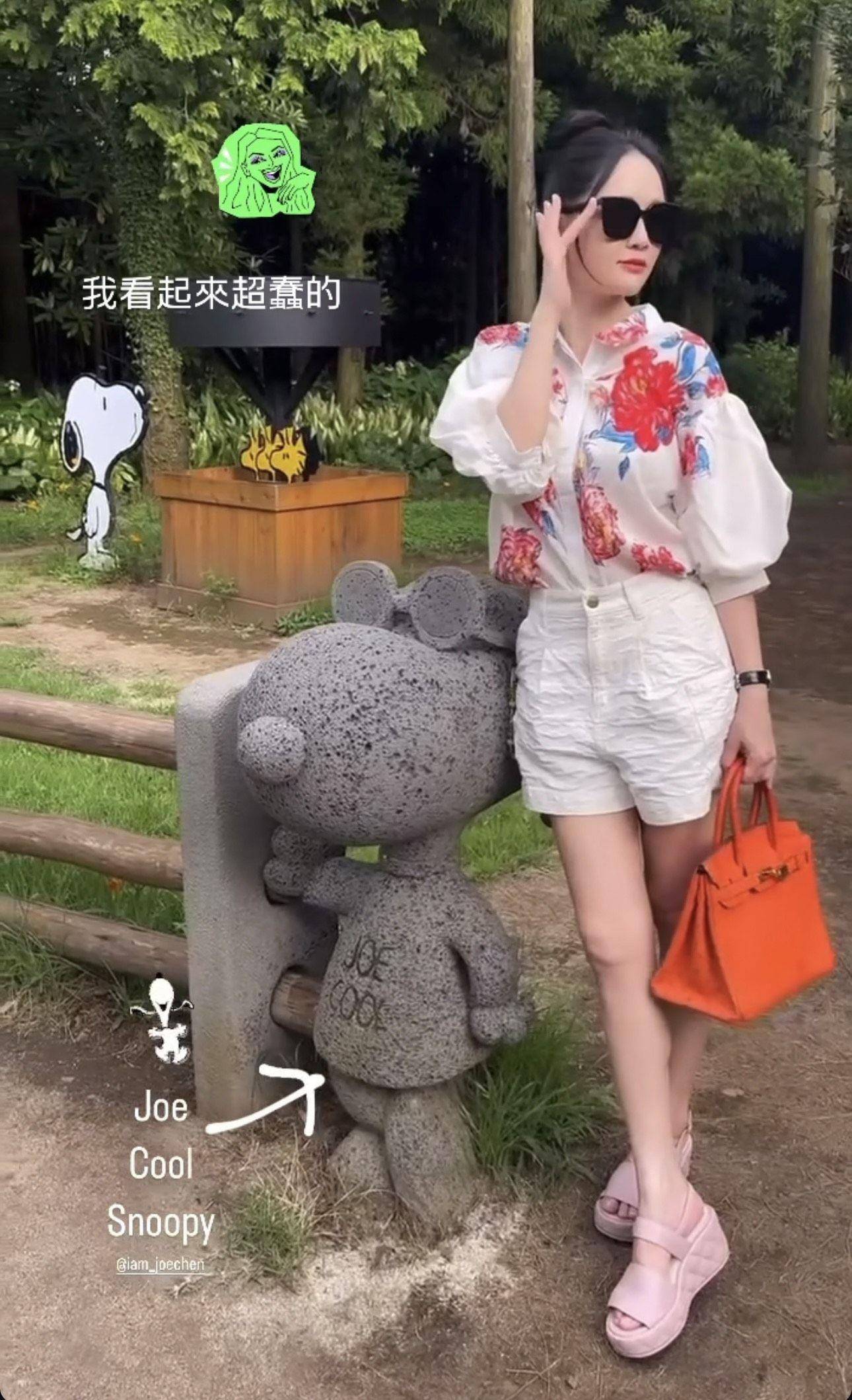 陈乔恩贵妇出巡拎柏金包逛花园　爱马仕手袋连发游韩 时尚穿搭 图1张