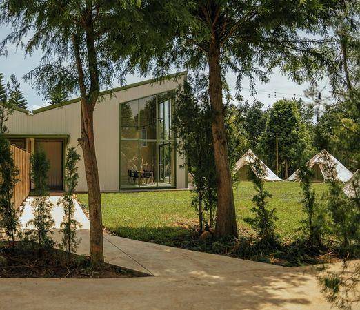 吕携手豪华露营推出入住免费体验发品　阿原启动艾草“纯净直送”计划 最新资讯 图1张