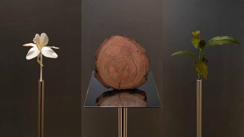 爱马仕第一瓶西普调香水花10年打造　调香师：一旦爱上你会终生都爱它 最新资讯 图3张
