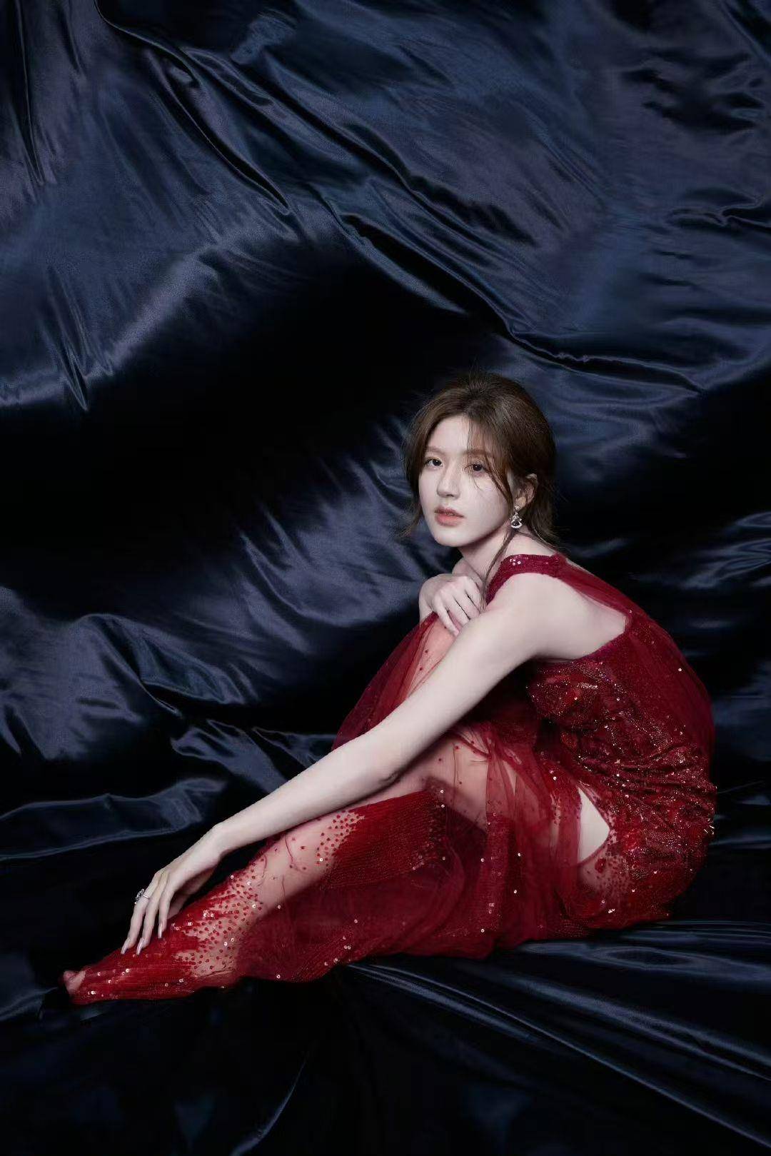 盘点绝美红礼服造型！Lisa薄纱透出S曲线、舒淇穿BV流苏裙气场全开 名人名流 图2张