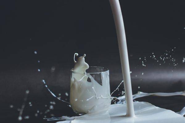 你今天喝牛奶了吗？营养师：研究证实乳制品有助于减重 最新资讯 图1张