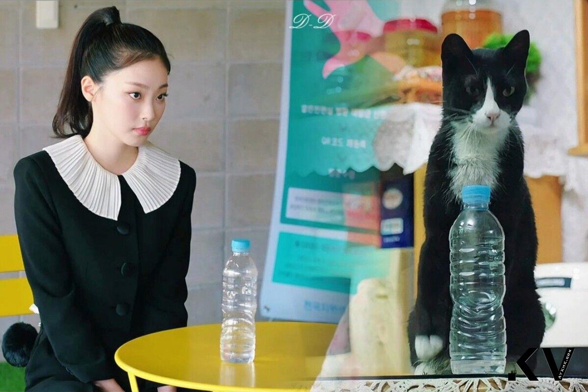 《比天堂还美丽》崔熙真小猫眼妆画法！高冷又傲娇重点在眼尾 最新资讯 图1张
