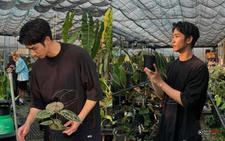 刘以豪38岁还像男大生！保养秘诀曝会好好卸妆、热爱植物来疗愈自己 最新资讯 图6张